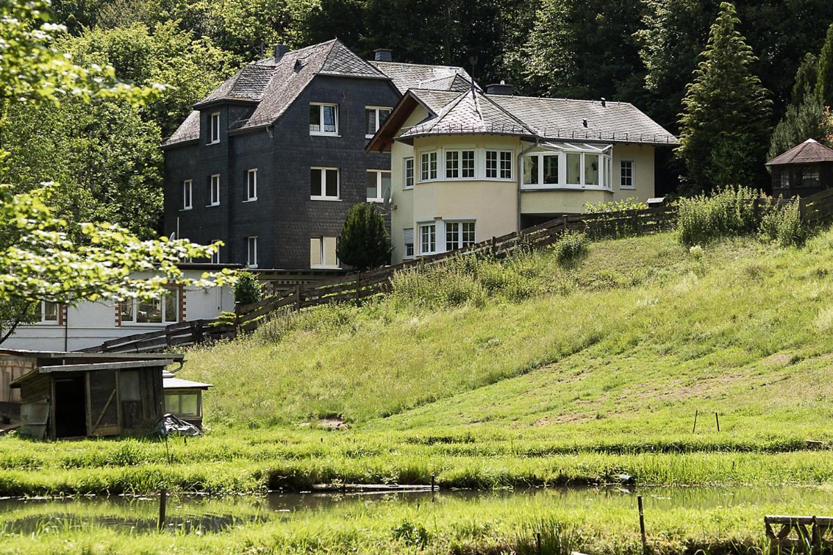 Landgasthof Hieren Muehle Ney Eksteriør billede